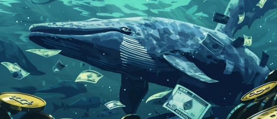Ethereum prudce vzrostlo na jeden měsíc, protože velryba hromadí ETH a půjčuje si miliony